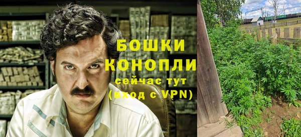 сатива Лабытнанги