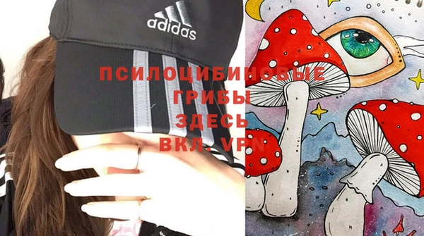 меф Тайга