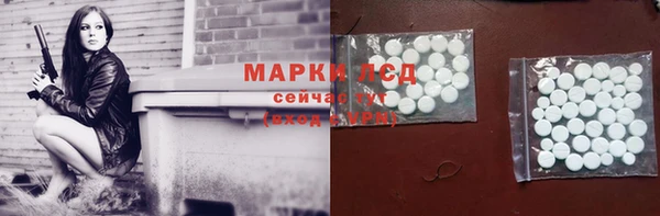 сатива Лабытнанги