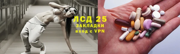 сатива Лабытнанги