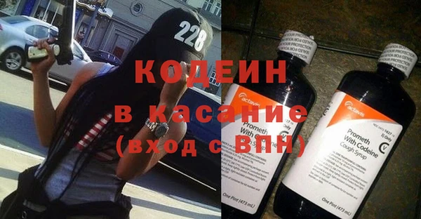 сатива Лабытнанги