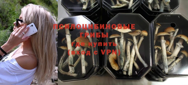 СК Ладушкин
