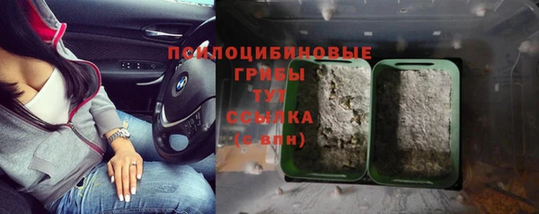 СК Ладушкин