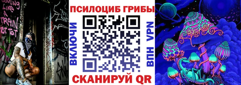 где найти Называевск Псилоцибиновые грибы Psilocybine cubensis